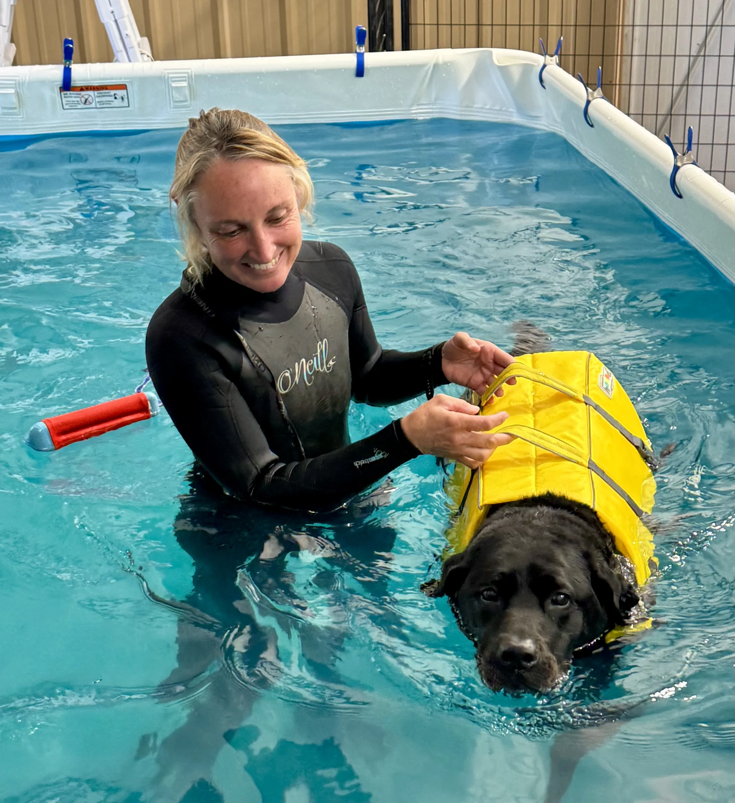 Hydrotherapy/Dog Swims